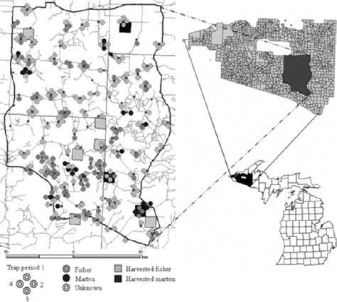 Map of the study area in the Ottawa National Forest, Upper Peninsula of... | Download Scientific ...