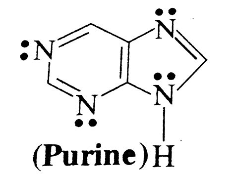 Purine Structure Numbered