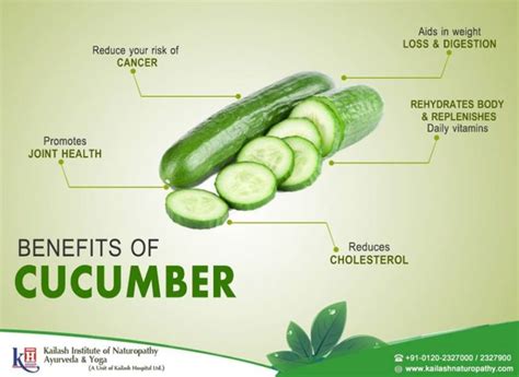 Benefits of Cucumber