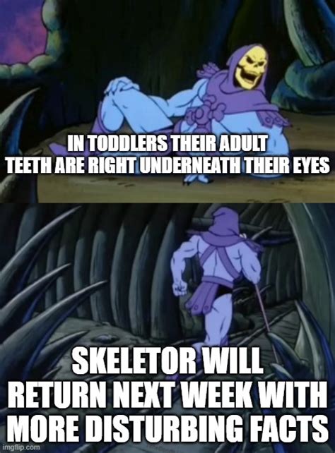 Disturbing Facts Skeletor Memes - Imgflip