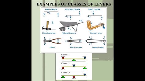 SIMPLE MACHINES LOAD, FULCRUM, EFFORT AND CLASSES OF LEVER - YouTube