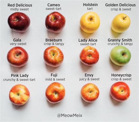 I make a chart comparing 12 rappers to their Apple counterparts | KTT2