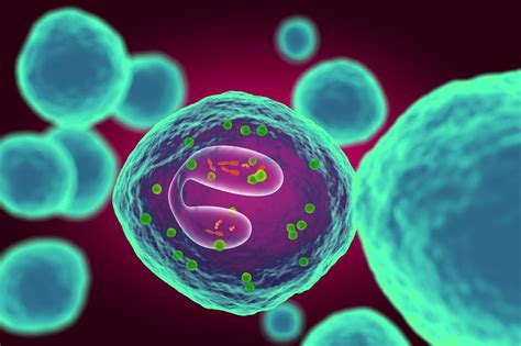 Eosinophilic Asthma Treatment: Biologic Agents Compared - Pulmonology ...