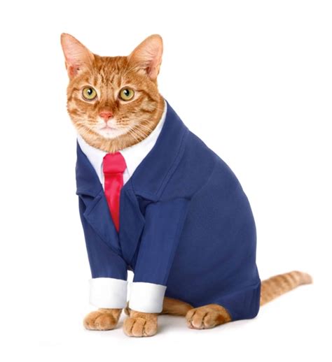 Business Suit Cat Costume - Pet Costume Center