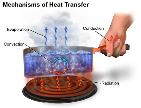 Difference Between Heat and Thermal Energy | Difference Between