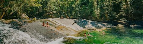 Cairns Adventure Tours > Rainforest Adventures For Everyone