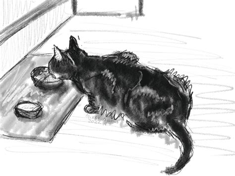 A sketch of a hungry cat : r/cats