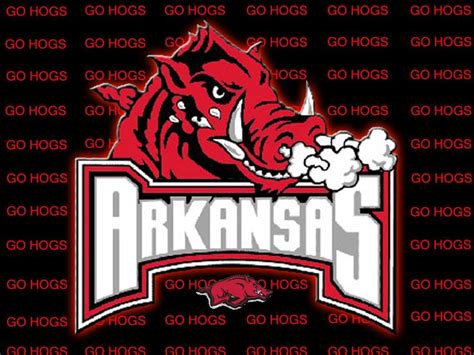 Razorback Wallpaper | Arkansas razorbacks, Arkansas, Razorbacks