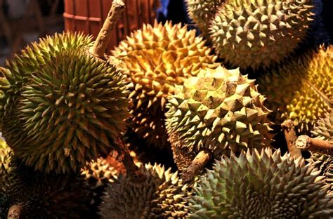 Durian season | went online to sell and deliver out of state