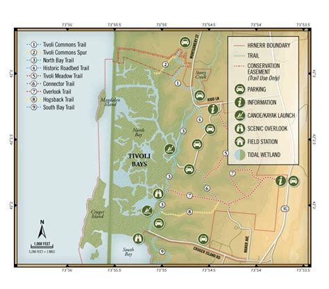 Park & Trail Map Illustration | Illustrated map, Park trails, Trail maps