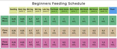 Feeding Schedule for Cannabis: What You Need To Know