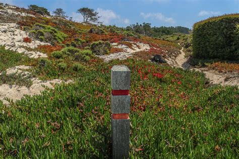 Happy Trails: Tips to Hiking the Del Monte Forest in Pebble Beach