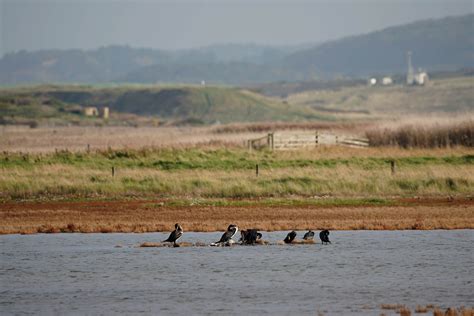 Cley Next The Sea — Walking in the Wild