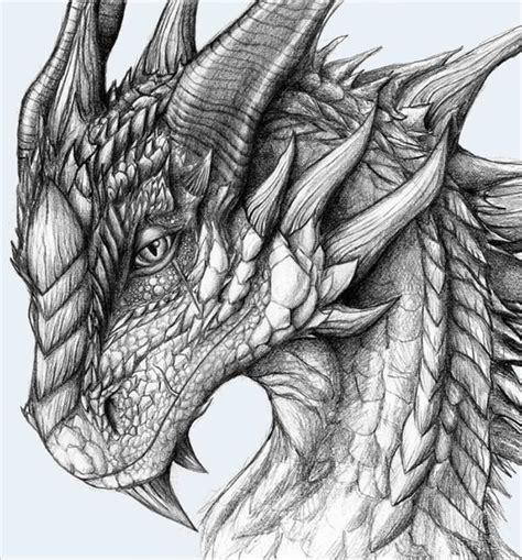 Dragon Sketch - Drawing Skill