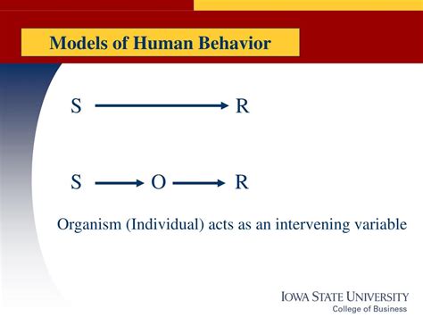 PPT - Models of Human Behavior PowerPoint Presentation, free download ...