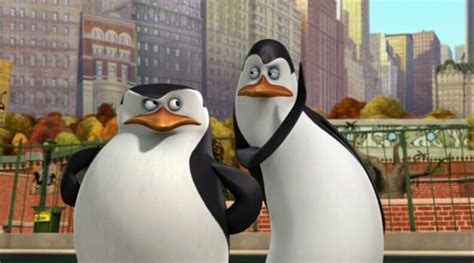 Skipper and Kowalski. - Penguins of Madagascar Photo (37068148) - Fanpop