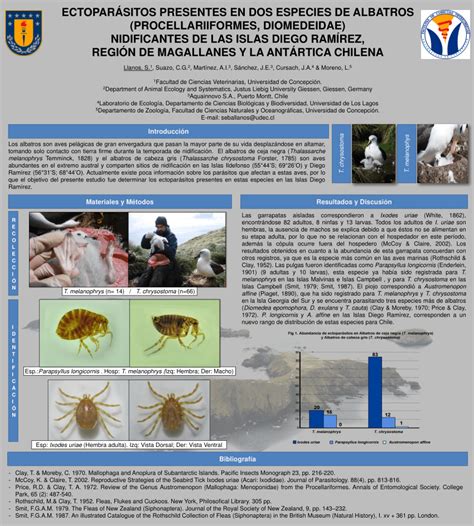 (PDF) Ectoparásitos presentes en dos especies de albatros (Procellariiformes, Diomedeidae ...