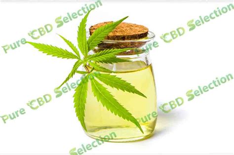 CBD dispensary near me - Pure CBD Selection