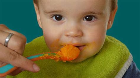 Here are the 7 Best Organic Baby Food Delivery Options | Green Baby Deals