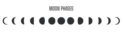 Moon Phase Vector Art, Icons, and Graphics for Free Download