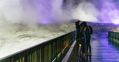 Rotorua: Te Puia Geyser Geothermal Park Guided Tour at Night | GetYourGuide