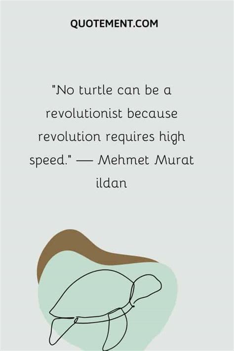 110 Turtle Quotes For Your Daily Dose Of Inspiration