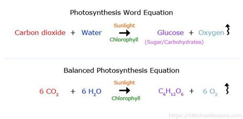 Balanced Equation for Photosynthesis - JaseldKirk