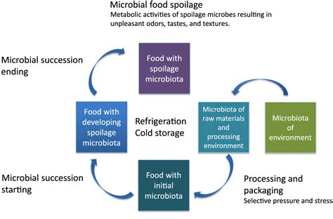 Johansson | Microbiomes in the Context of Refrigerated Raw Meat ...