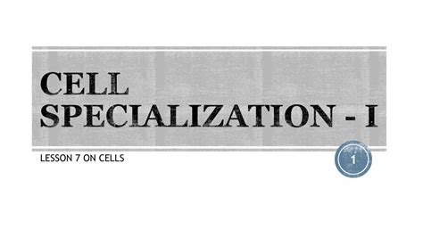 cell specialization - Biology with Miss Amy