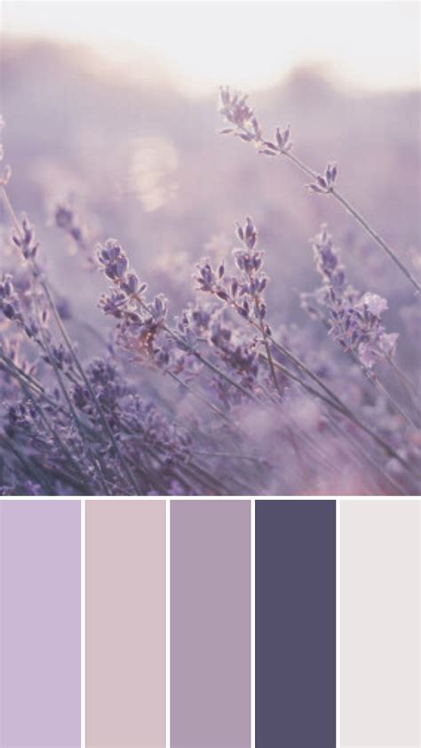 Lilac Moodboard | Calm color palette, Color palette generator, Purple ...