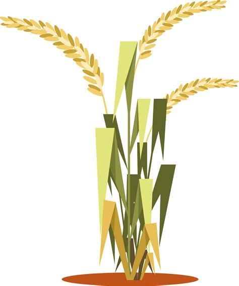 Rice Crop Clipart Png