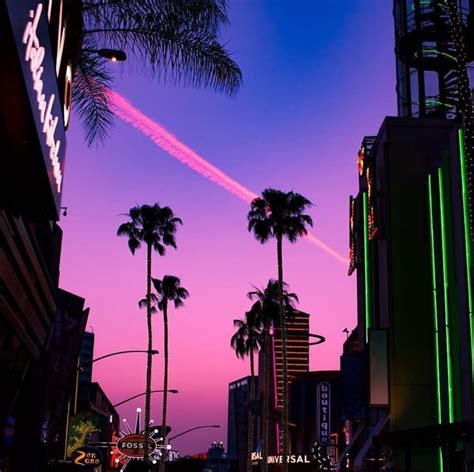 Miami Aesthetic Wallpaper