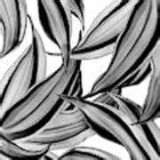 Dracaena Tropical Leaves Pattern Black and White #2 #tropical #decor #art Mixed Media by Anitas ...