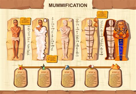 Unveiling the Secrets of the Mummification Process in | PlanetSpark