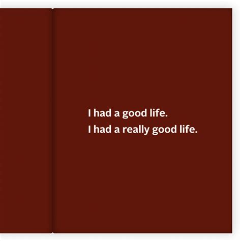 The Region-Beta Paradox - When Good is the Enemy of Great | No Story Lost Books Inc.