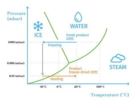 Freeze-drying preservation, everything you need to know | Barnalab