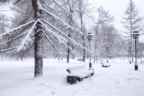 After a heavy snowfall in one of the Moscow parks, Russia | Russia, Outdoor, Snowfall