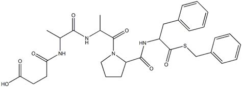 Protein Research