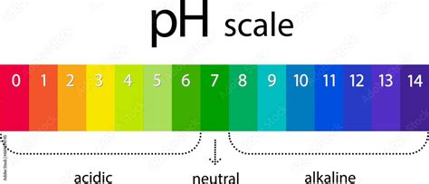 pH scale chart for acid and alkaline solutions. Acid-base balance ...