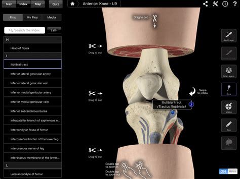 Part 1-Why ITB ‘Friction’ Syndrome is not due to ‘friction’ | POGO Physio Gold Coast