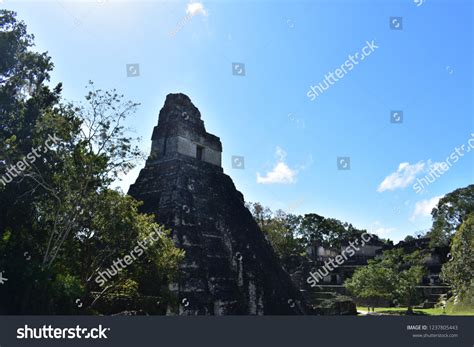 Tikal Guatemala Maya Temple Stock Photo 1237805443 | Shutterstock