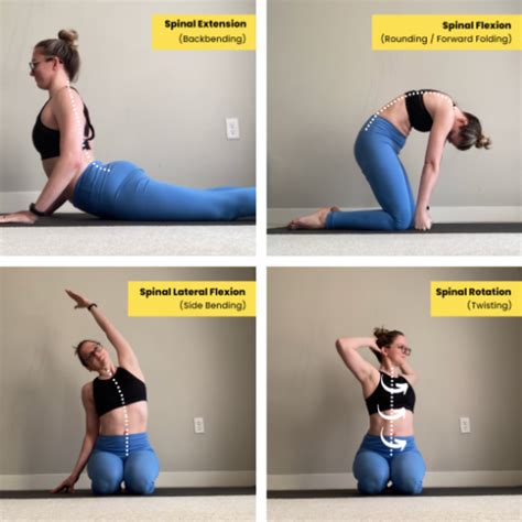 Back Stretches for Full Spinal Flexibility — Dani Winks Flexibility