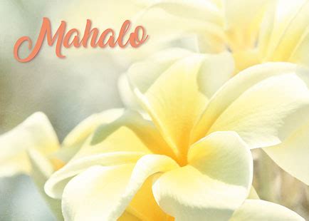 Hawaiian Mahalo | Thank You Greeting Card - Na Lei Pua Melia Aloha E Ko Lele - Sharon Mau ...