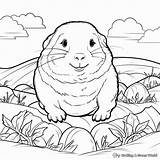 Gopher Coloring Pages  Free & Printable sketch template