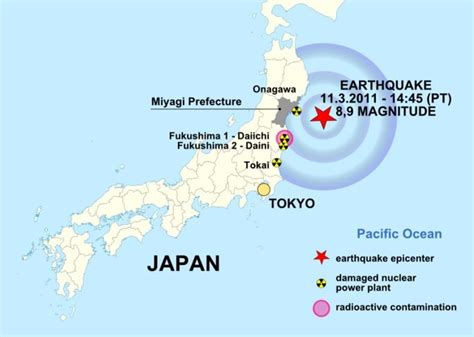 Tohoku Earthquake Shake Map