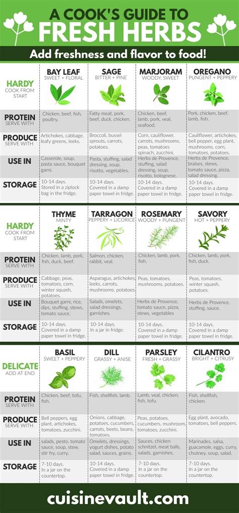 The Ultimate Guide To Cooking With Fresh Herbs | Cooking with fresh ...