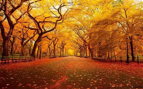 HD Autumn Wallpapers. | Autumn wallpaper hd, Autumn scenery, Scenery wallpaper