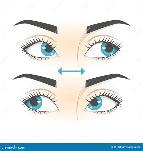 Eye Exercise. Movement for Eyes Relaxation Stock Vector - Illustration of concepts, healthy ...