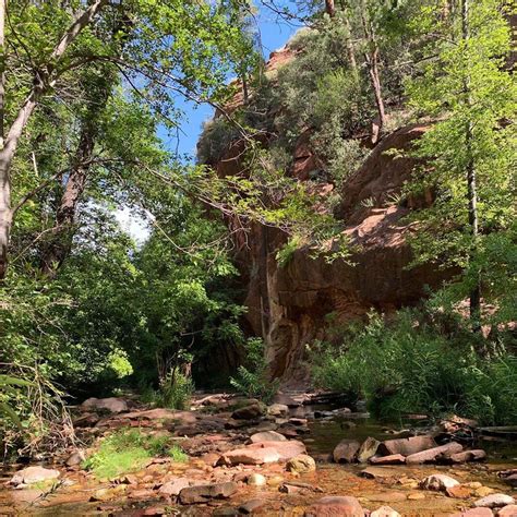 Coconino National Forest - When In Your State