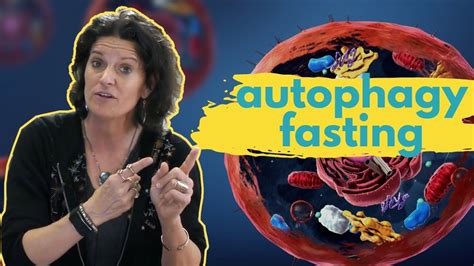 AUTOPHAGY FASTING - How Long Should You Fast to Maximize Your Health ...